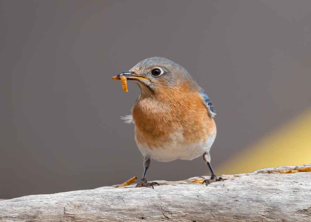 How to Create a Productive Morning Routine: Strategies for Starting Your Day&nbsp;Right